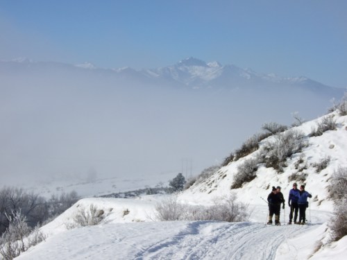 Mt Gardiner from Campbell Lake Rd