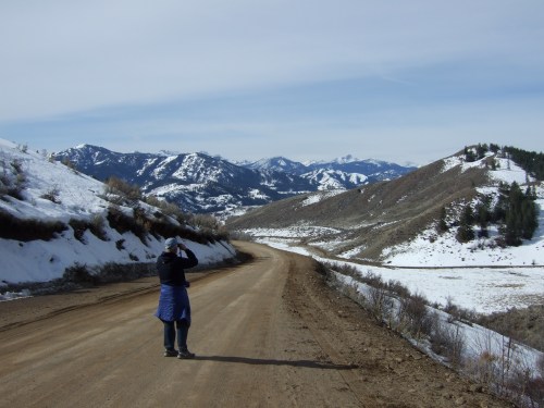 Looking for birds on Balky Hill Road