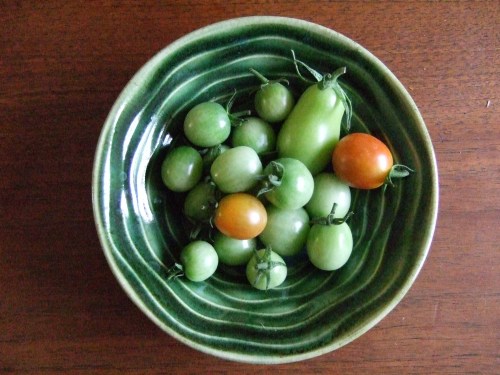 green tomatoes green tomatoes