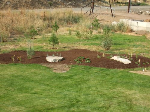 perennial bed Aug 2009