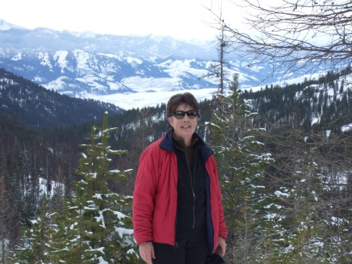 view from South Summit