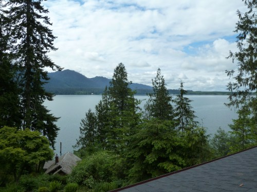 view from upstairs 1