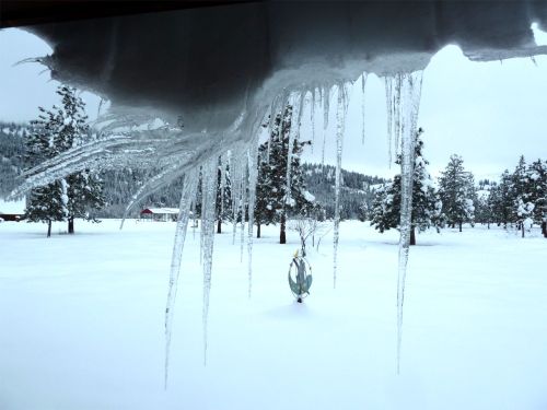 icicles 28Dec2012