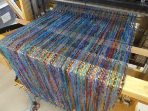 Blue Parrot warp on the loom